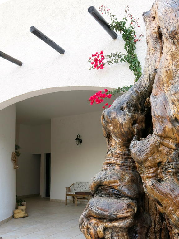 Agriturismo Tenuta Del Morige Галатоне Номер фото